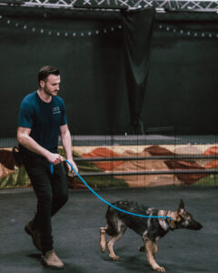 Unite Canine Training