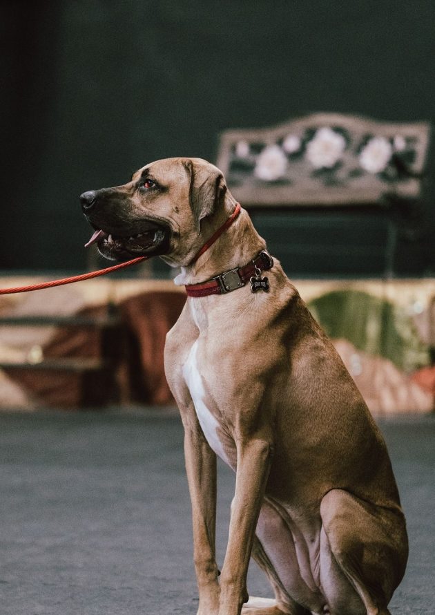 441640888_17966163809743117_6024612232443655062_n